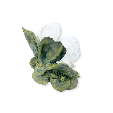 Oyster Magnolia Sculpture #1