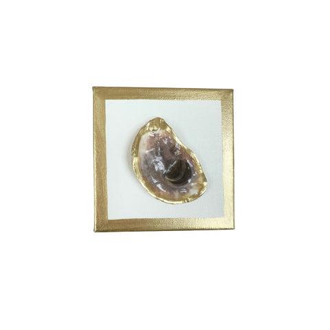 Oyster Canvas Art 6x6