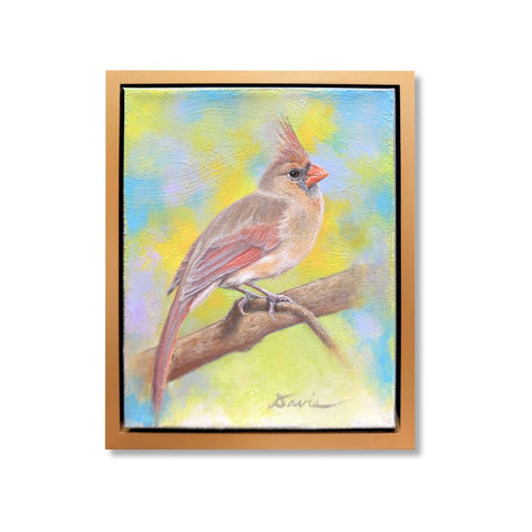 Spring Cardinal 8x10