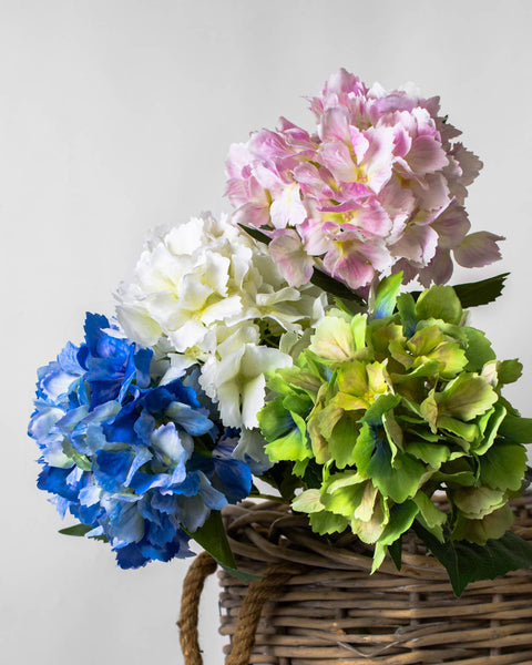 Hydrangea Stem   Cream   27.5" - 318 Art & Frame