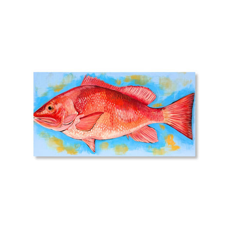 Red Snapper 10x20 - 318 Art & Frame
