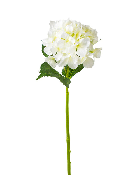 Hydrangea Stem   Cream   27.5" - 318 Art & Frame