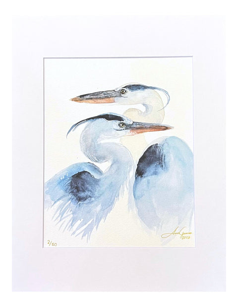 "Blue Heron Love" Matted Art Print 11"x14"