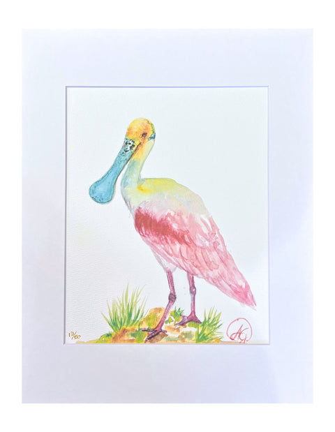 "Roseate Spoonbill" Matted Art Print 11"x14"