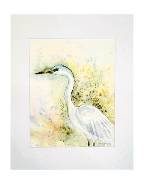 "Great Egret" Matted Art Print 11x14