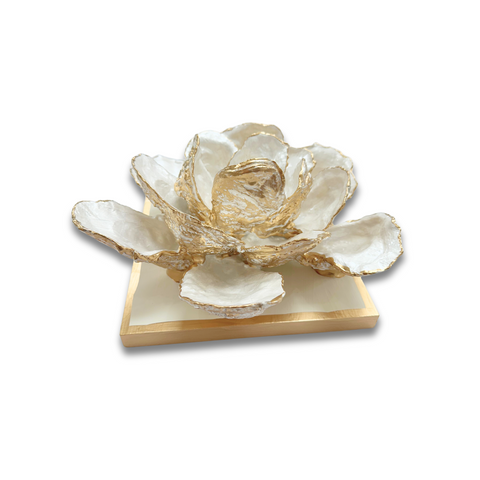 Gold Gilded Oyster Magnolia