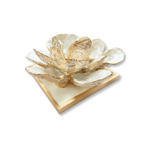 Gold Gilded Oyster Magnolia