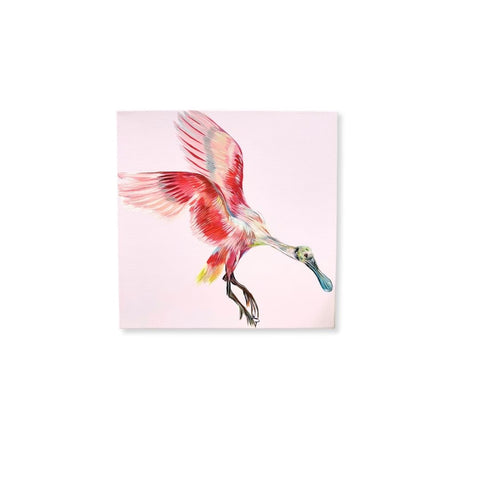 Spoonbill in Flight 12x12