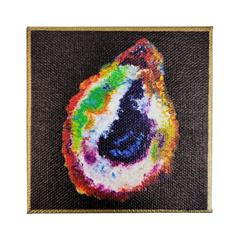 "Spotlight Oyster" Mini Canvas