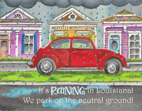It's Raining in Louisiana by Erin Rovin