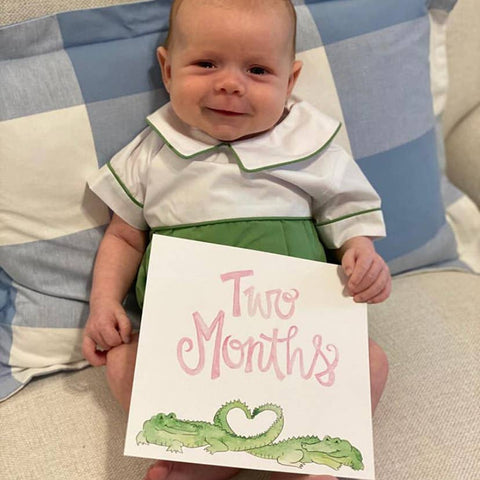 Southern Baby Milestone Cards