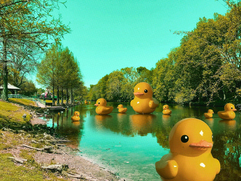 "Rubber Duck Pond" 5X7 Canvas Print