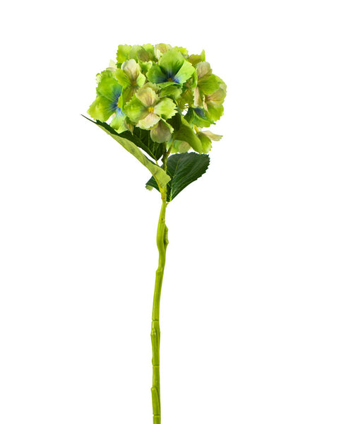 Hydrangea Stem   Green   27.5" - 318 Art & Frame
