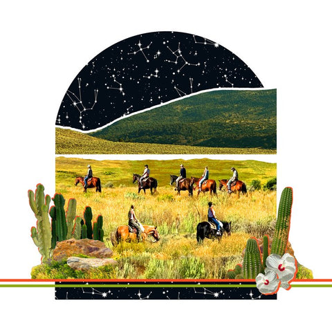 Night Riders 8x8