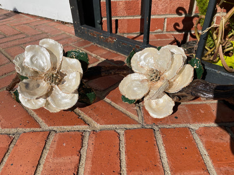 2 Small Magnolias on Driftwood