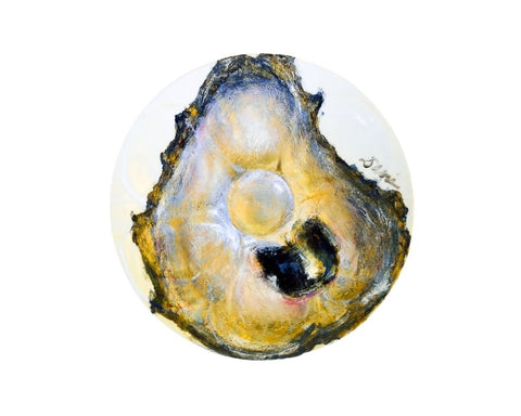 Carla Davis Oyster Plate Collection