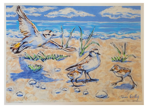 "Snowy Plover" Art Print 18x24