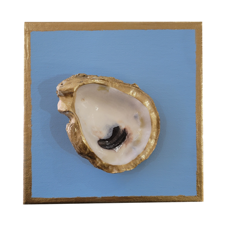 Oyster Canvas Art 6x6