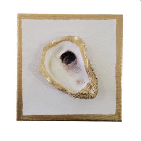 Oyster Canvas Art 6x6