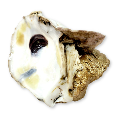 Standing Oyster Trinket