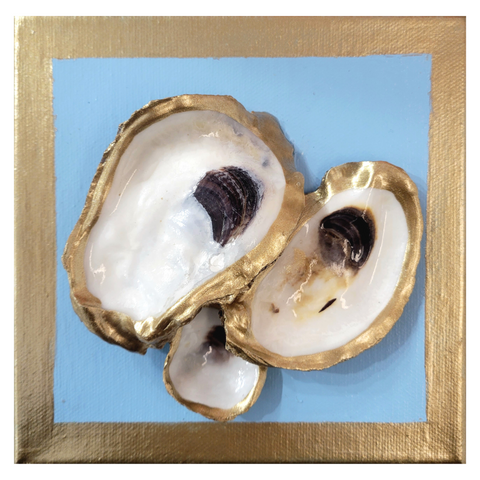 Oyster Canvas Art 6x6