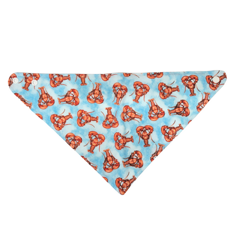 Baby Bandana Bibs by Brooks & Belle